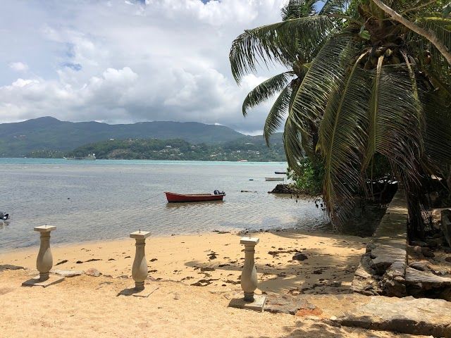 Michael Adams Art Studio