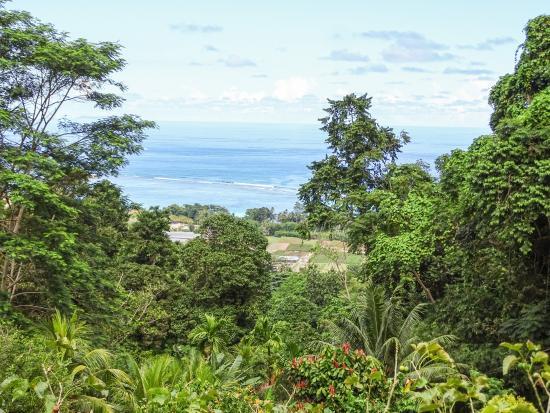 Jardin Du Roi Spice Garden